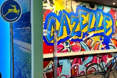 mcmg-news-nachbericht-gazelle-mindset-14