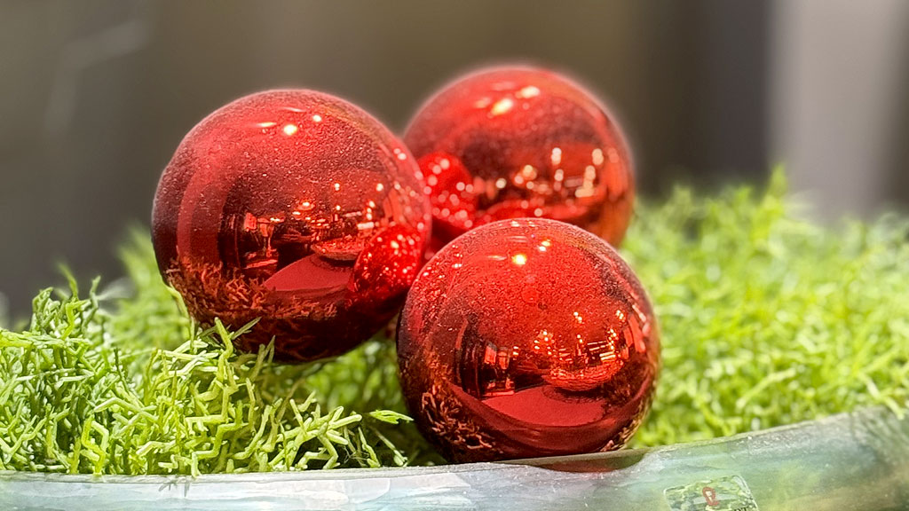 Foto News Das war die diesjährige Weihnachtsfeier